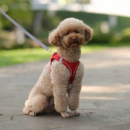 Arnés con correa ajustable para perros,cachorros y gatos, material transpirable y reflectante.